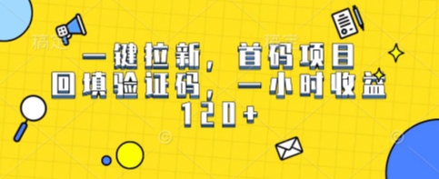 一键拉新，首码项目，回填验证码，一小时收益1张-共项网