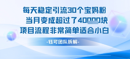 每天稳定引流30个人 当月变成超过了4个W项目流程非常简单适合小白-共项网
