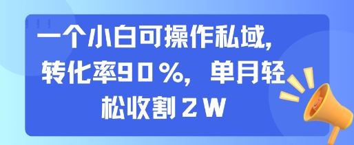 一个小白可操作私域，转化率90%，单月轻松收割2W-共项网