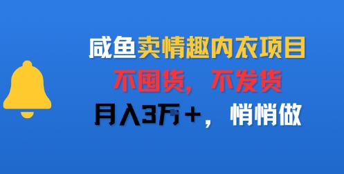 咸鱼卖情趣内衣项目，不囤货，不发货，月入3W+，悄悄做-共项网