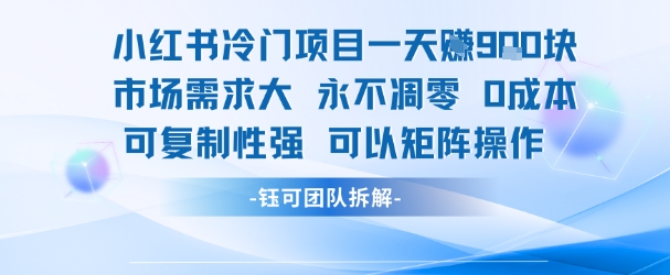 小红书冷门项目一天收益9张，市场需求大，0成本，可复制性强可以矩阵操作-共项网