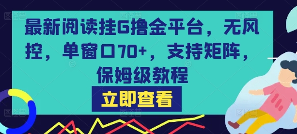 最新阅读挂G撸金平台，无风控，单窗口70+，支持矩阵，保姆级教程【揭秘】-共项网