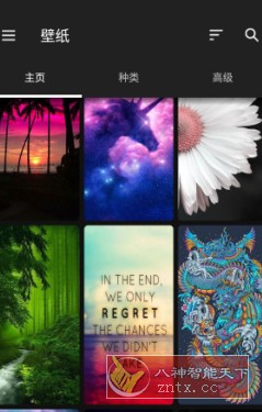 ZEDGE 铃声和壁纸v8.88.0高级版-共项网