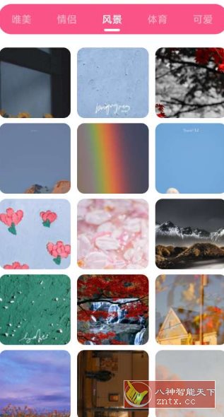 皮皮壁纸 v1.3纯净版-共项网