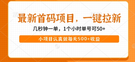 最新首码项目，操作最简单，收益高，一键拉新，1个小时单号可50+，小项目认真做每天5张+收益【揭秘】-共项网