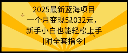 2025最新蓝海项目一个月变现1w+新手小白也能轻松上手【附全套指令】-共项网