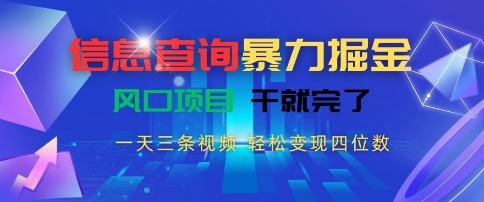 信息查询暴力掘金，一天三条视频，轻松变现四位数，风口项目干就完了【揭秘】-共项网