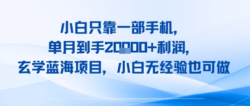 小白只靠一部手机，单月到手2W+利润，玄学蓝海项目，小白无经验也可做-共项网