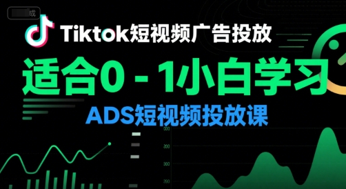 Tiktok短视频广告投放，适合0-1小白学习ADS短视频投放课-共项网