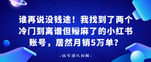谁再说没钱途！我找到了两个冷门到离谱但賺麻了的小红书账号，居然月销5W单？-共项网