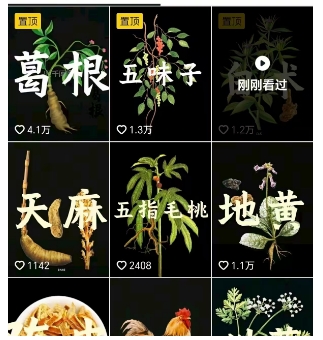 抖音中草药赛道，用AI做中草药故事视频，45条作品涨粉13W，橱窗带货猛猛出单-共项网