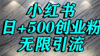 小红书无限引流创业粉，单人操作日引500+精准创业粉-共项网