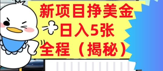 最新挣美金项目，日入5张，全程揭秘，小白也能轻松入手，长久被动收入-共项网