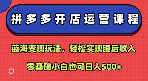 拼多多开店运营课程：蓝海变现玩法，轻松实现睡后收入，零基础小白也可日入5张-共项网