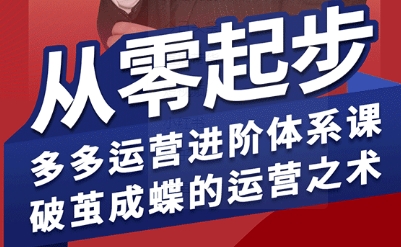 拼多多运营进阶系统课，从零起步，多多运营进阶体系课，破茧成蝶的运营之术-共项网