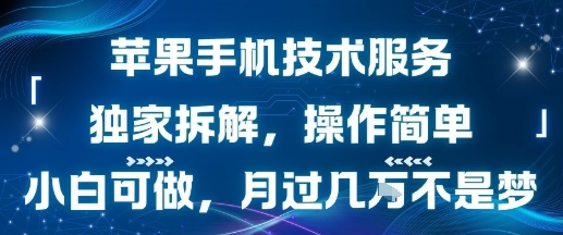 苹果手机技术服务，独家拆解，操作简单，小白可做，月过1W不是梦-共项网