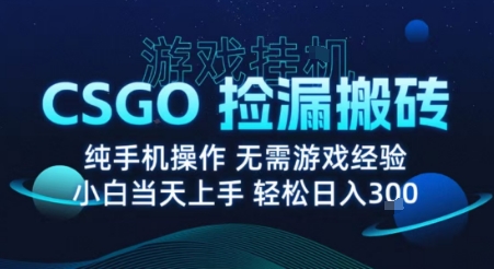 8月最新游戏搬砖，CSGO纯挂G，不需要玩游戏，实现真挂G，月入1W+【揭秘】-共项网