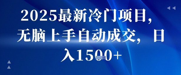 2025最新冷门项目，无脑上手自动成交，日入多张-共项网