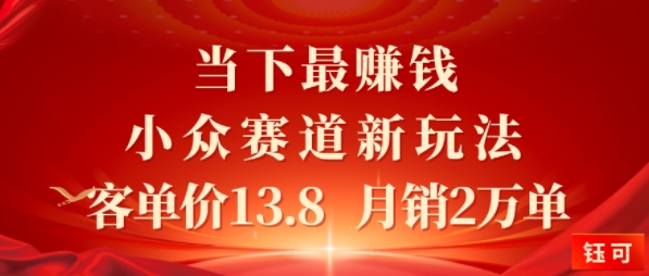 当下最挣钱的小众赛道 小红书新玩法10个作品涨粉3W，客单价13.8 月销2W单-共项网