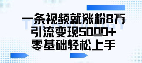 一条视频就涨粉8W引流变现5k+，0基础项目轻松上手-共项网
