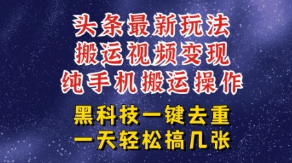 今日头条纯搬运玩法，轻松过原创不违规，轻松日入三位数，稳的很-共项网