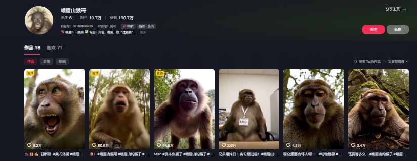 最新爆火的峨眉山猴子短视频制作教程，条条点赞10w+，谁做谁火【教程+提示词】-共项网