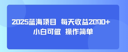 2025蓝海项目 每天收益多张 小白可做 操作简单-共项网