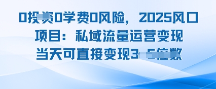 0学费0风险,2025风口项目:私域流量运营变现,当天可直接变现-共项网