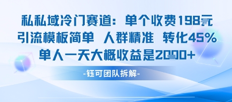 私域冷门赛道单个收费198米引流模板简单人群精准 45%的转化率单人一天大概收益多张-共项网