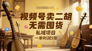视频号卖二胡，无需囤货，私域项目，一单利润5张-共项网