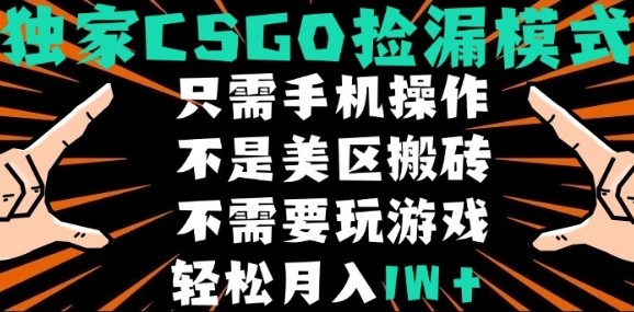 CSGO自动捡漏项目，最新独家玩法，不是美区搬砖，不需要了解和玩游戏，新手小白轻松月入1W+【揭秘】-共项网