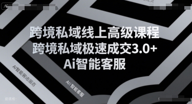 跨境私域线上高级课程，跨境私域极速成交3.0+Ai智能客服-共项网