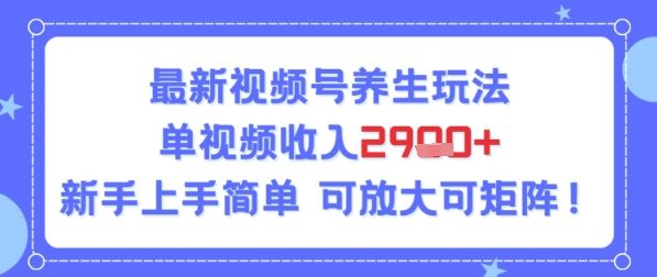视频号养生玩法，单视频收入2.9k，新手上手简单-共项网
