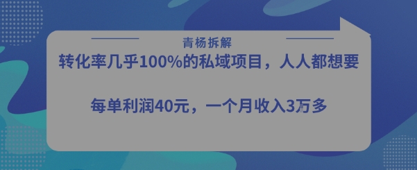 转化率最高的私域项目，每单利润40-50米，月入过1w-共项网