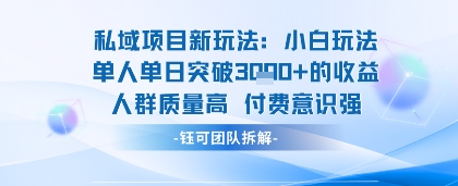 私域项目新玩法小白玩法单人单日突破1k的收益人群质量高付费意识强-共项网