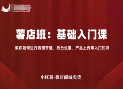 小红薯薯店商城卖货，基础入门课，教你如何进行店铺开通、后台设置、产品上传等入门知识-共项网