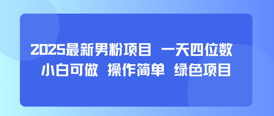 2025最新男粉项目 一天四位数 小白可做 操作简单 绿色项目-共项网